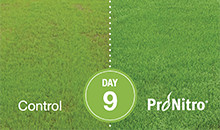 Faster establishment with multilayered ProNitro® seed coating